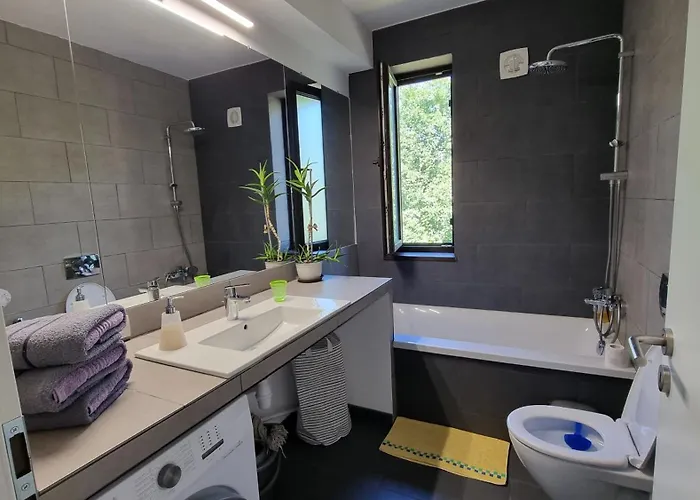 Bliss Nest - Cazare Spital Fundeni