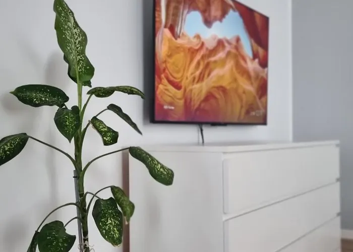 Bliss Nest - Cazare Spital Fundeni * Boekarest