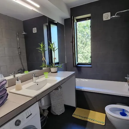 Bliss Nest - Cazare Spital Fundeni